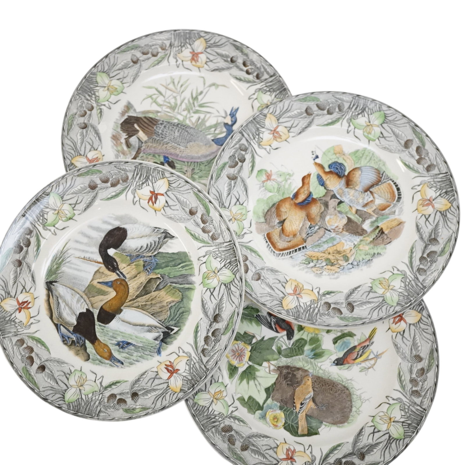 4 ALFRED MEAKIN AUDUBON BIRDS OF AMERICA PLATES: 4 Vintage 1950-60s National Audubon Society Birds of America Plates - Birds of America. Each 8 3/4"x8 3/4". Weight on all 3 lbs 4 oz. PROVENANCE: The Estate of Dr. Fraser Wilson, Charleston SC. Dr. Wi