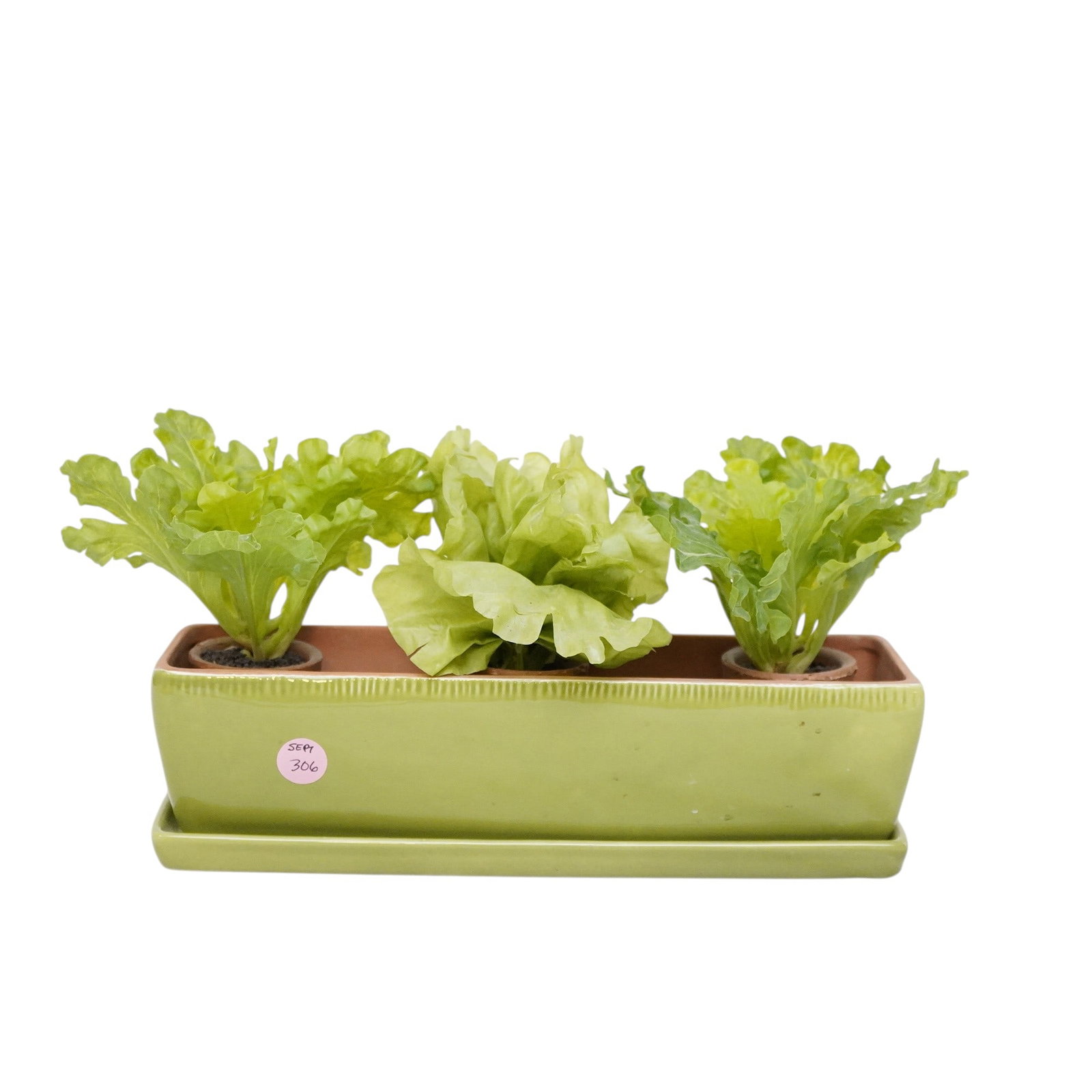 POTTERY BARN GREEN GLAZED TERRACOTTA PLANTER (1 of 2)