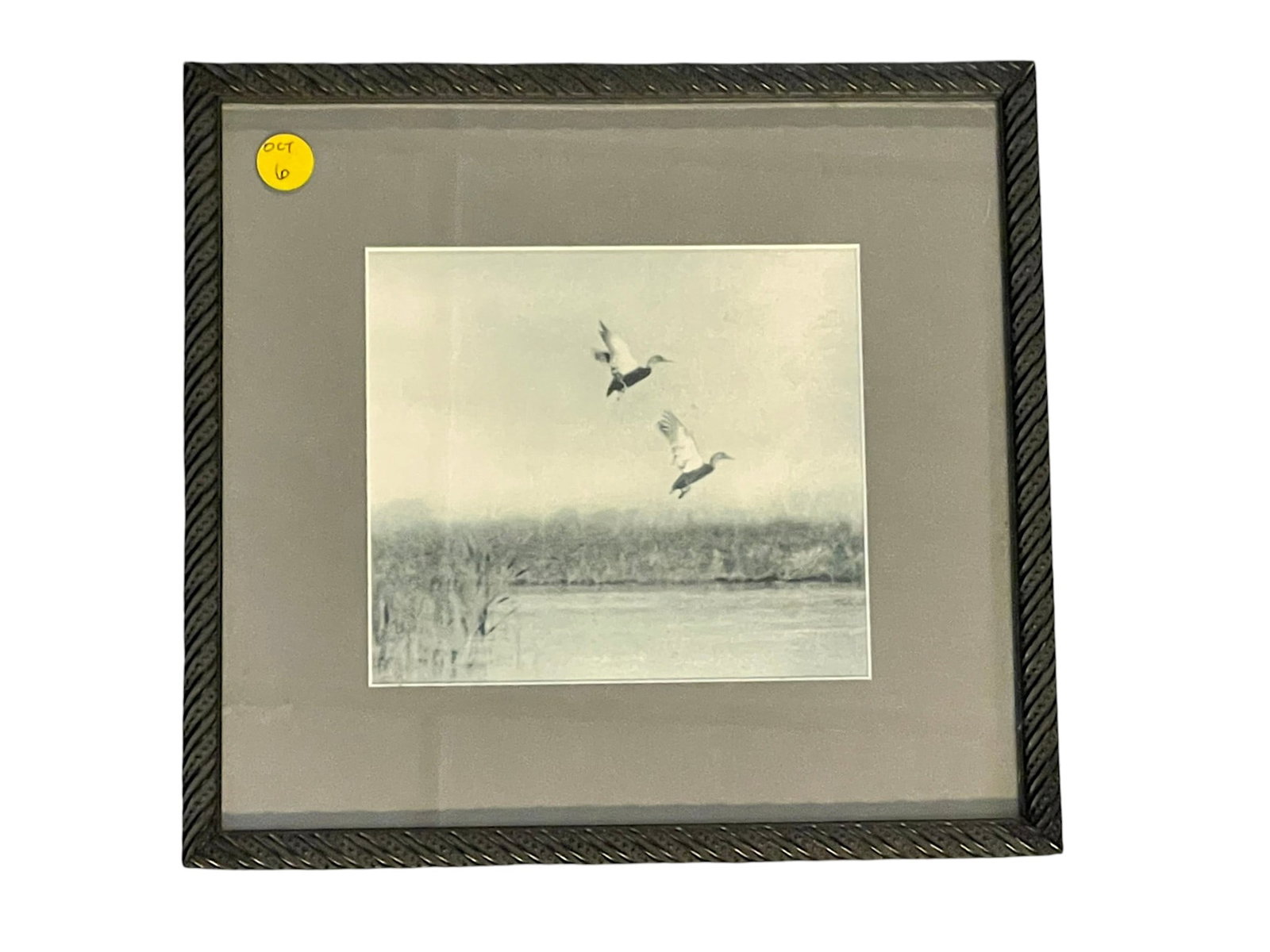 ALBERT DIXON SIMMONS 1936 2 BLACK DUCKS GRAVURE PRINT: Albert Dixon Simmons ( 1892-1972) 2 Black Ducks Gravure Print from "Wing Shots" published in 1936. Albert Dixon Simmons (1892?1972) was a Canadian-born naturalist, outdoors photographer, author, and g