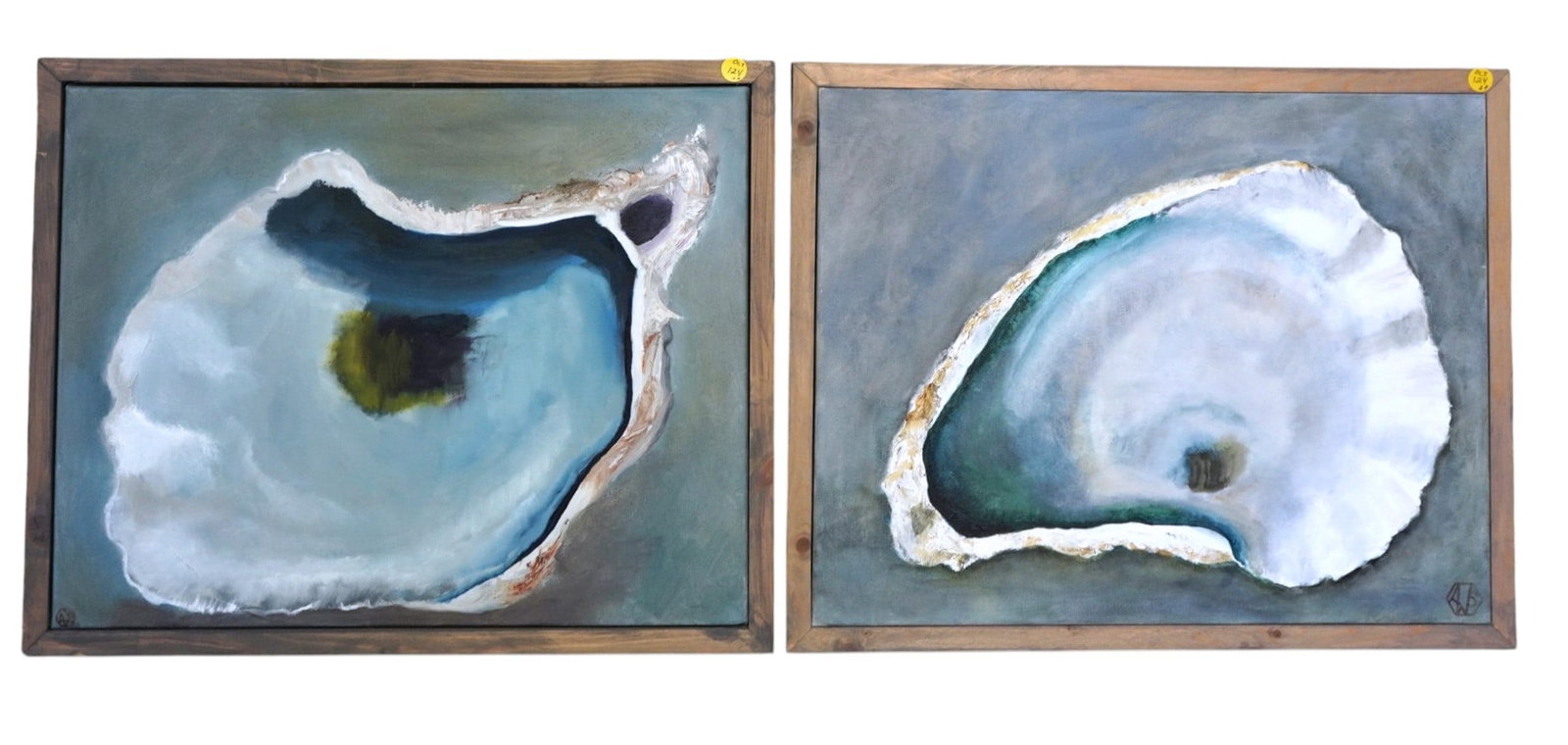 PAIR ORIGINAL OYSTER OIL ON CANVAS by AMY SULLIVAN WEISCHAAR: Pair of Amy Sullivan Weishaar Original Oil on Canvas Oyster Paintings in White Wood Frames. Amy Sullivan Weishaar is a Charlotte, North Carolina?based painter known for her oil and watercolor works th