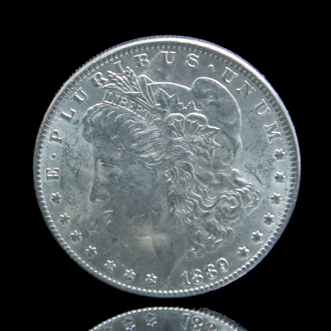 1889 Morgan Silver Dollar (1 of 2)