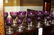 Bohemian Amethyst cut to clear stemware + - 2