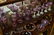 Bohemian Amethyst cut to clear stemware + - 4