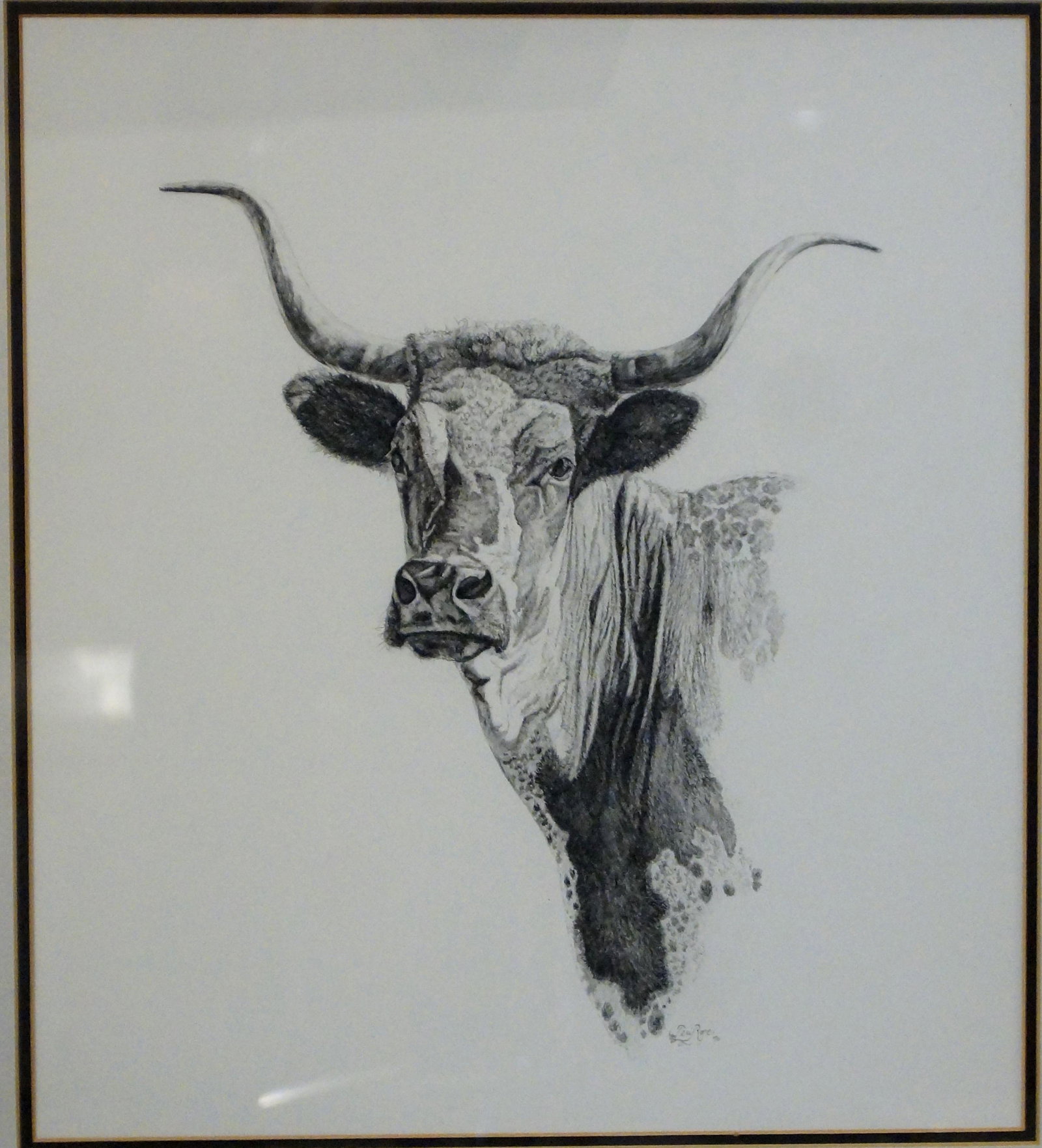 Terry Rose - pencil drawing of Steer: pencil signed 15" x 13 1/4"- Provenance: The Donna Decker Harcourt Trust, Paso Robles, Calif.