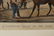 Thomas Worth (1834-1917) Currier & Ives Lithograph - 7