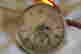 item-14383674=2