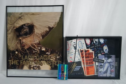 Fame Monster Lady Gaga Concert & Portrait items