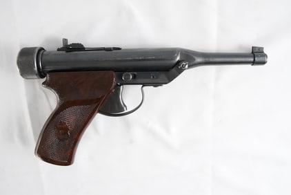 HY-score target model 22 pellet gun