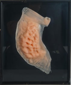 Lady Gaga Cased Scar Prosthetics from "Paparazzi"