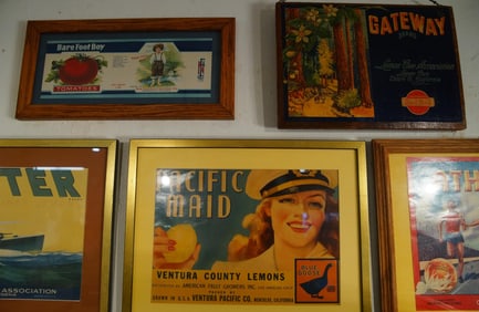 Collection of 10 Framed Citrus Labels