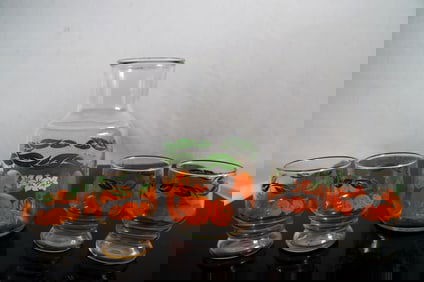Vintage Anchor Hawking 1960-70 Glasses & pitcher