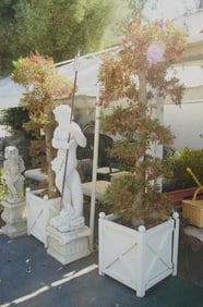 Pair of Topiary trees in wooden planters