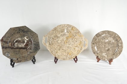 3 Fossilized Stone plates