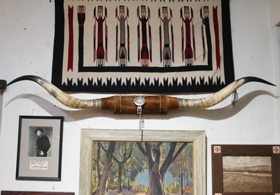 Texas longhorn Presentation