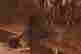 item-46118073=4