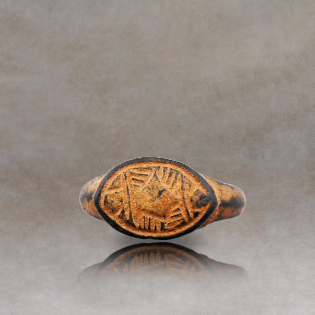 Ancient Ring (1 of 2)
