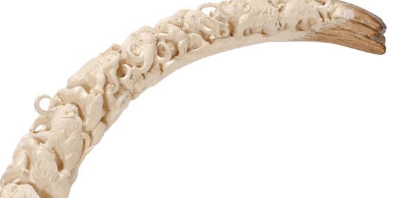 Rare Hand Carved Mastodon Ivory Mammoth Tusk - 4