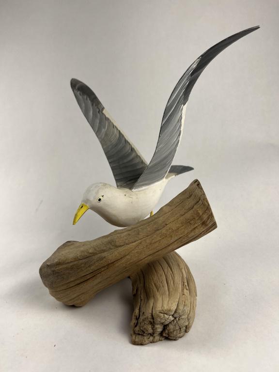 Shore bird- Gull (1 of 4)