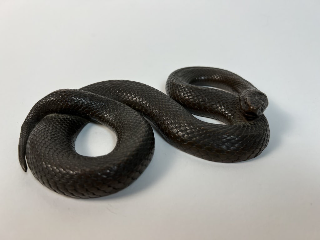 Bronze snake: Unsigned. Dimensions: L 6.25" x W 4" Condition: Bottom felt missing.