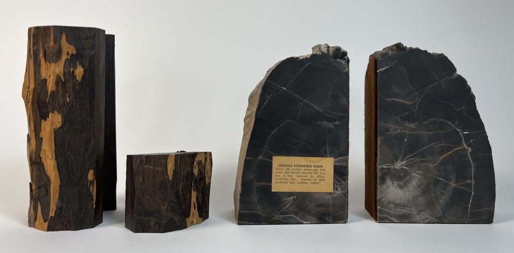Petrified wood bookends, etc (1 of 11)