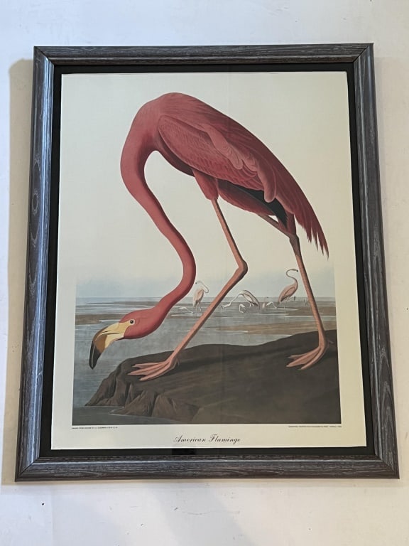 American Pink Flamingo print (1 of 4)