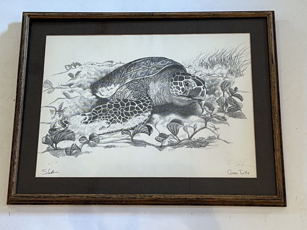 Signed print of a sea turtle: Signed illegibly and titled Green Turtle, numbered 55/150. Dimensions: H 22.5" x W 29.5" Condition: Presenting nicely, 243