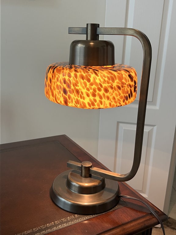 Tortoiseshell Desk Lamp (1 of 7)