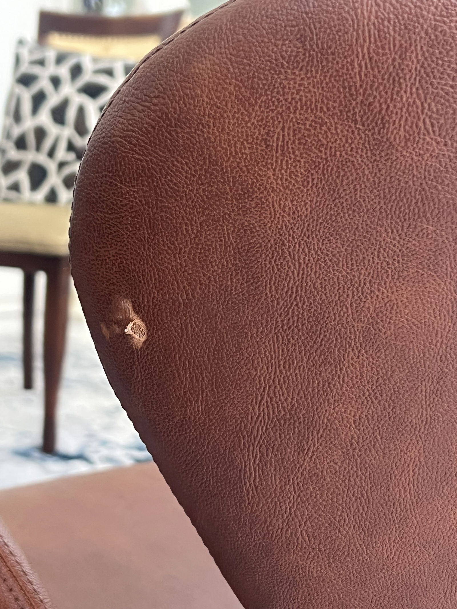 (2) Swan Style Chairs - 7