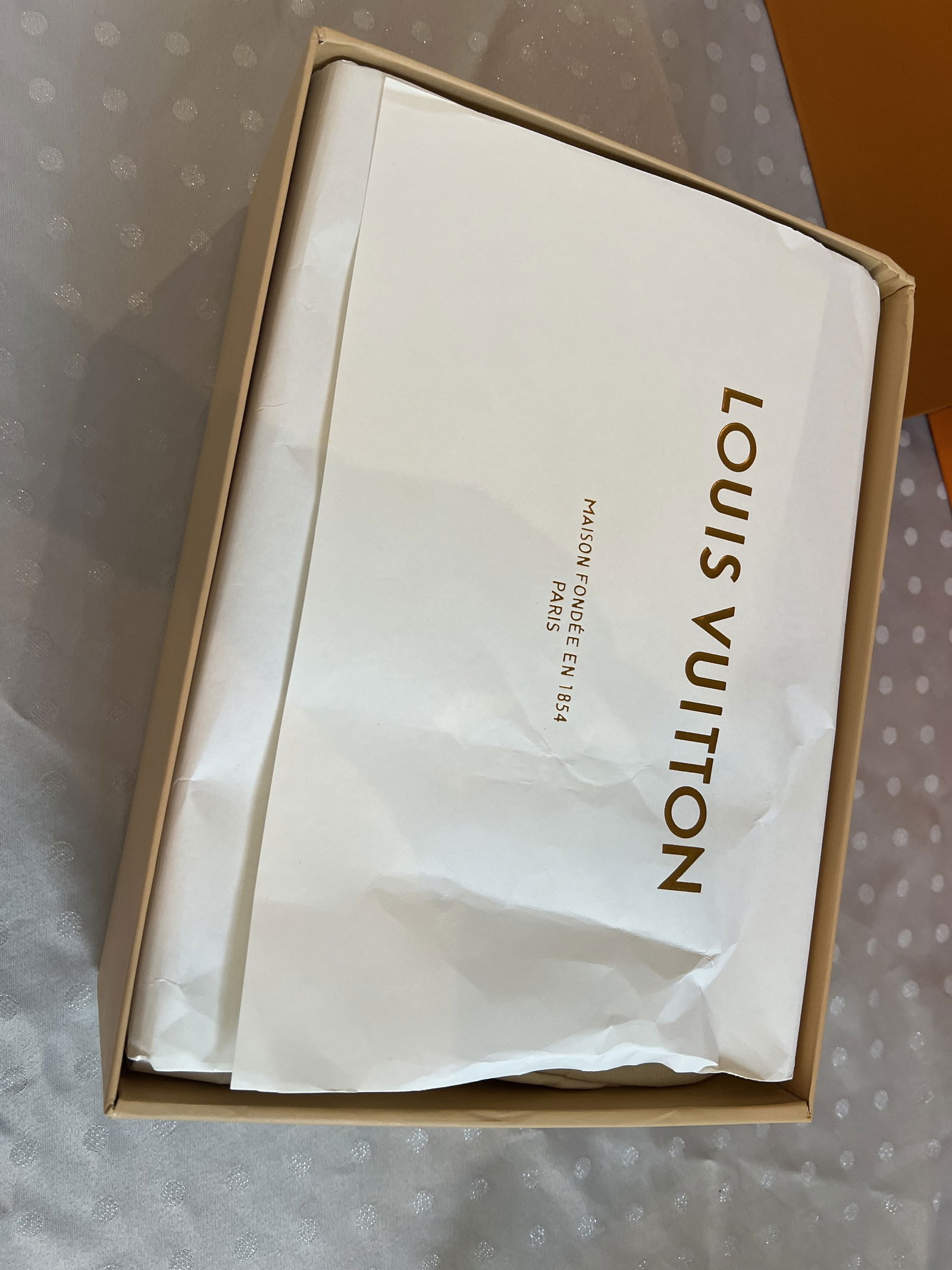 Louis Vuitton Shoe Box - 5