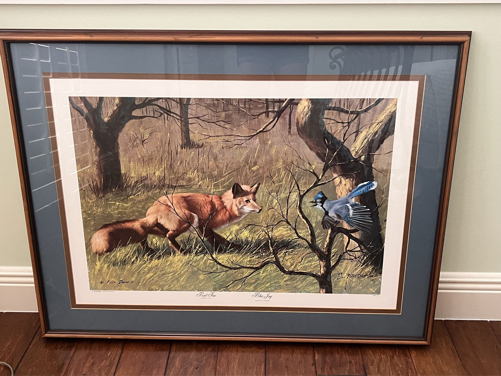 Peter Darro Wildlife Portraits: Peter Darro print, Red Fox and Blue Jay. Numbered 29/2500 Dimensions: H 29" x W 38" Condition: No issues to note. Low Estimate: 10.00High Estimate: 10000.00
