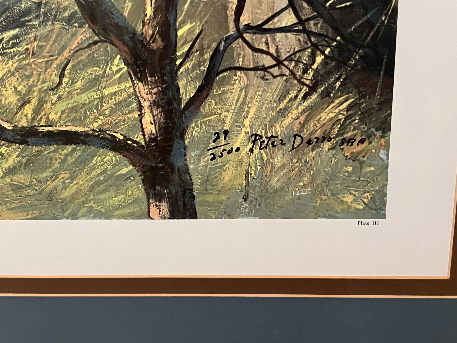 Peter Darro Wildlife Portraits - 2