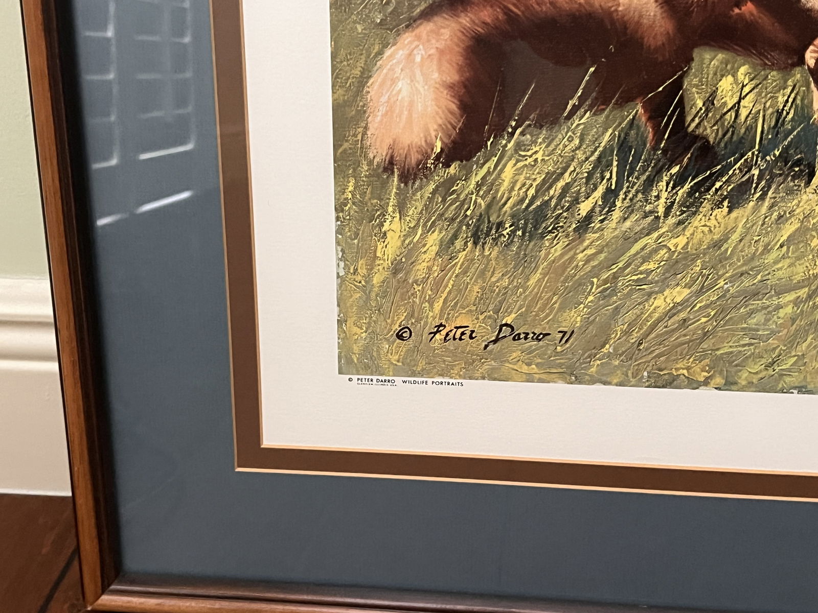 Peter Darro Wildlife Portraits - 4