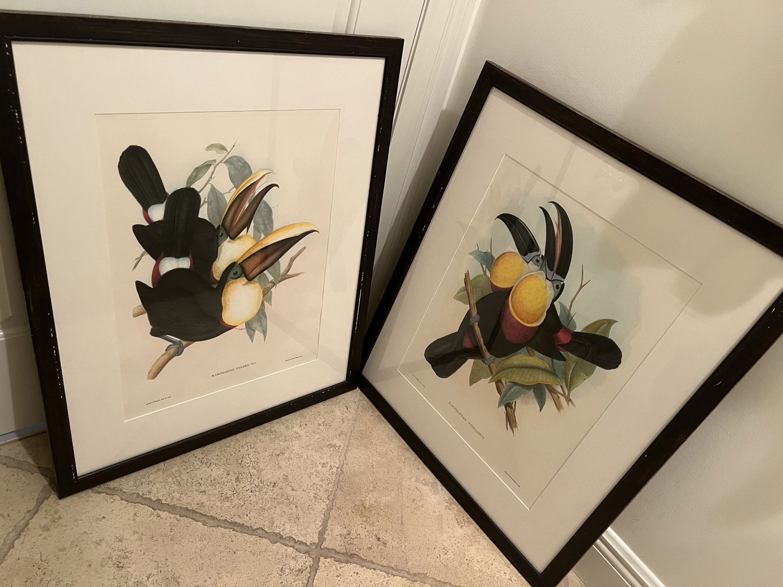 (2) John Gould & Richter Toucan Prints in J Pocker Frames: A coordinating pair of Toucan hand colored Lithographs by John Gould and Richter published by Hullmandel & Walton. In J Pocker and Son Inc animal print frames. Dimensions: Frame: H 29" x W 23.75"