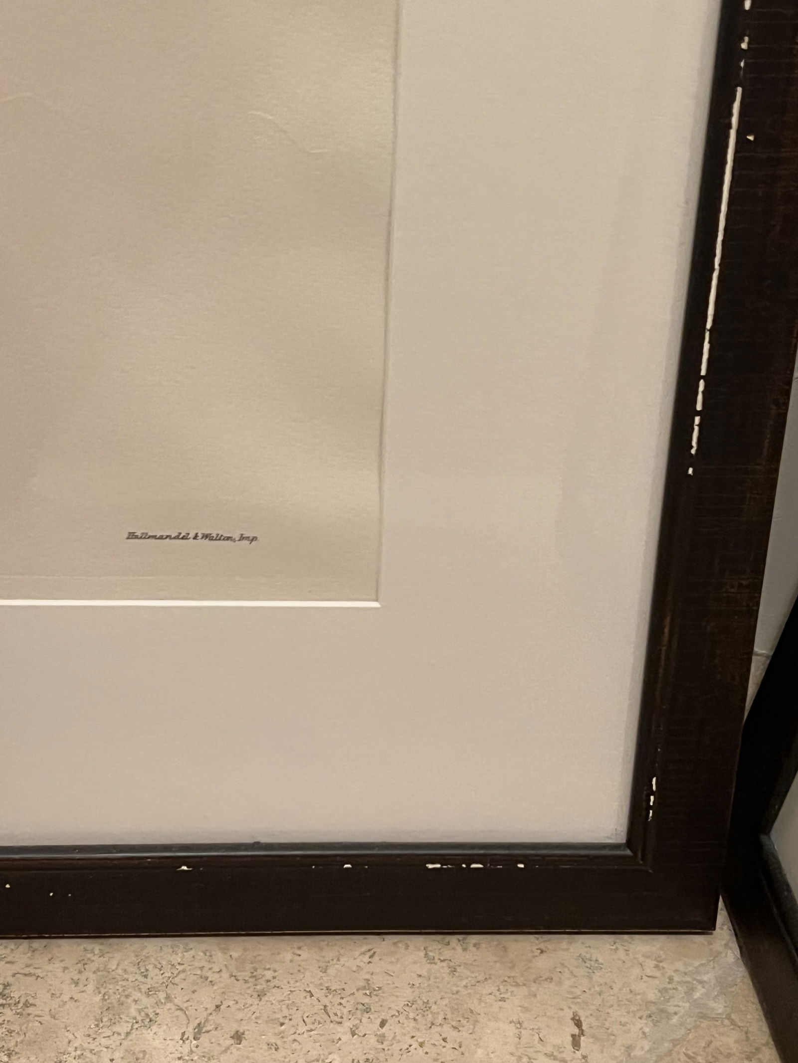 (2) John Gould & Richter Toucan Prints in J Pocker Frames - 9