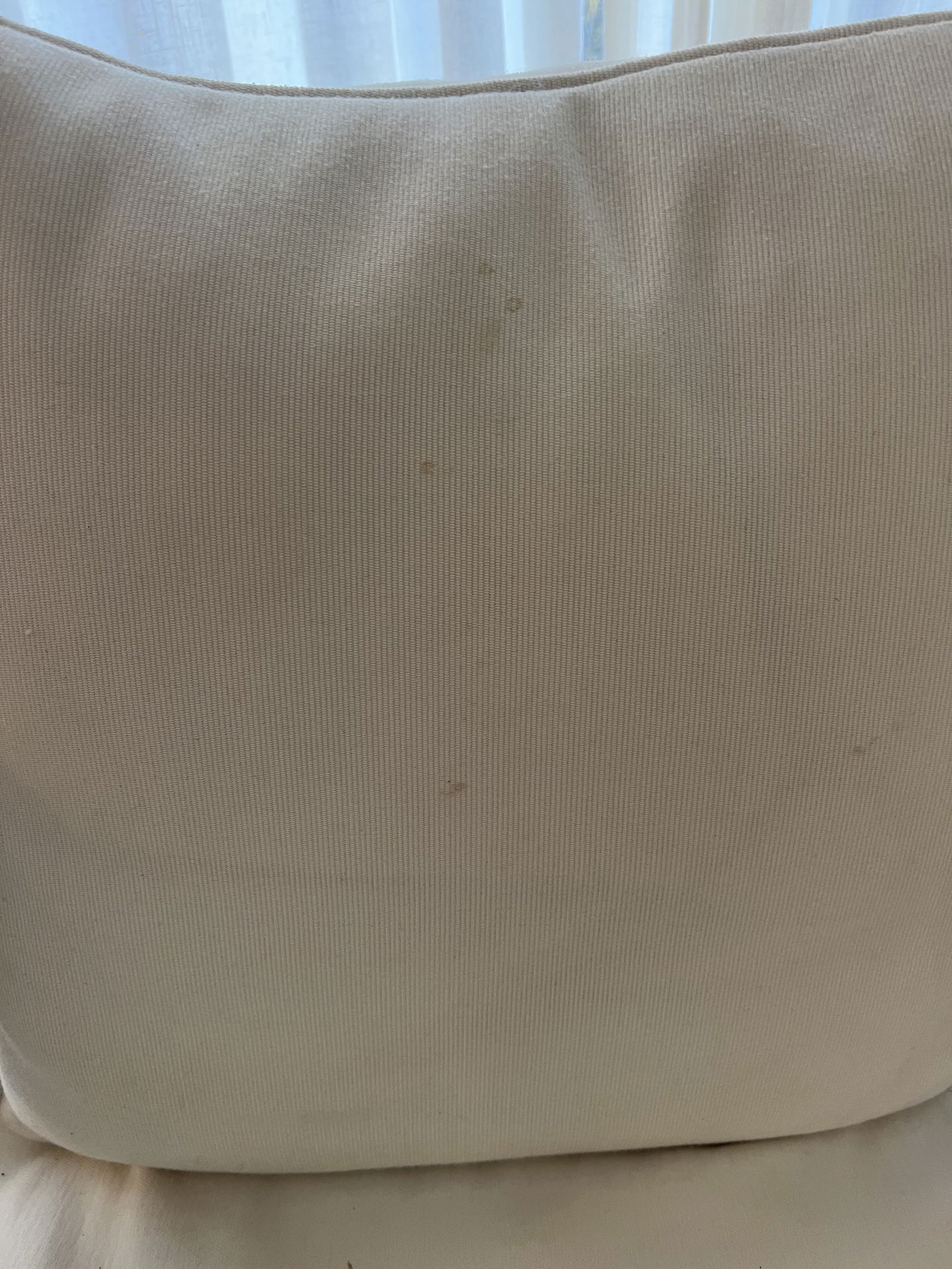 Pair of White Slipcovered French Louis XVI Cane Arm Chairs - 11