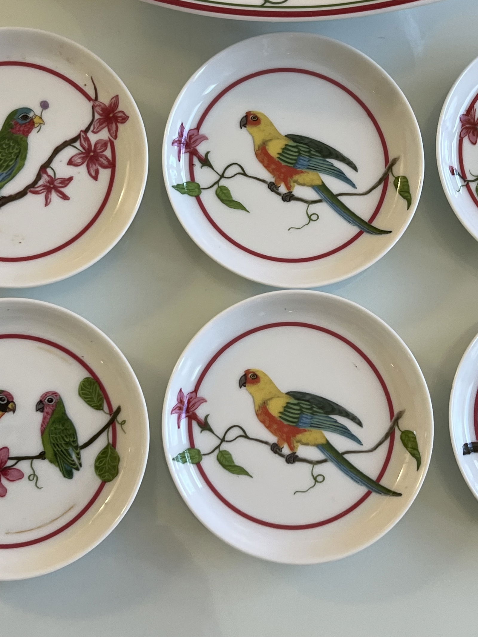 Lynn Chase Parrots of Paradise Bowl and Coaster Set - 4