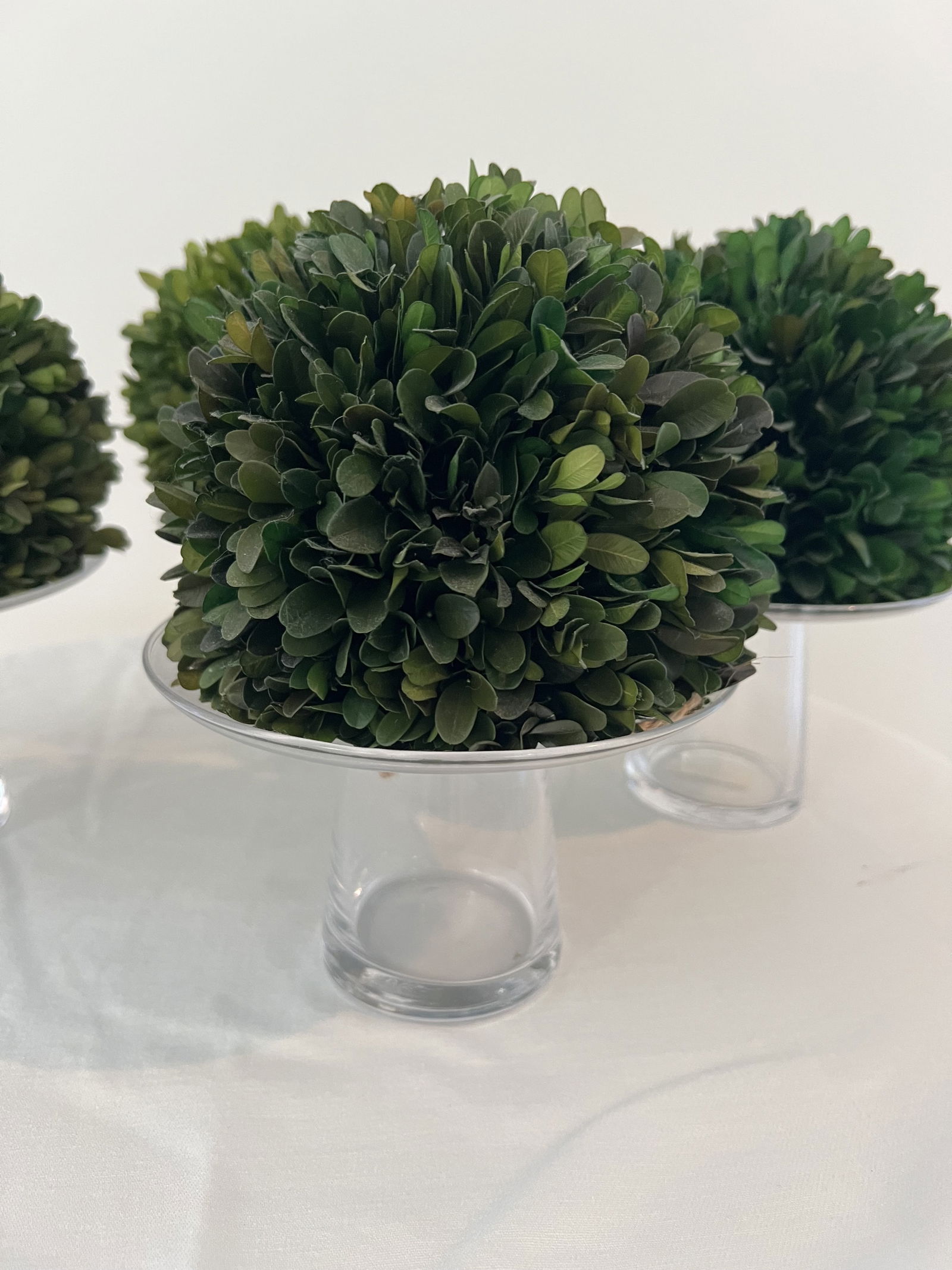 (4) Glass Candleholders with Topiary - 2