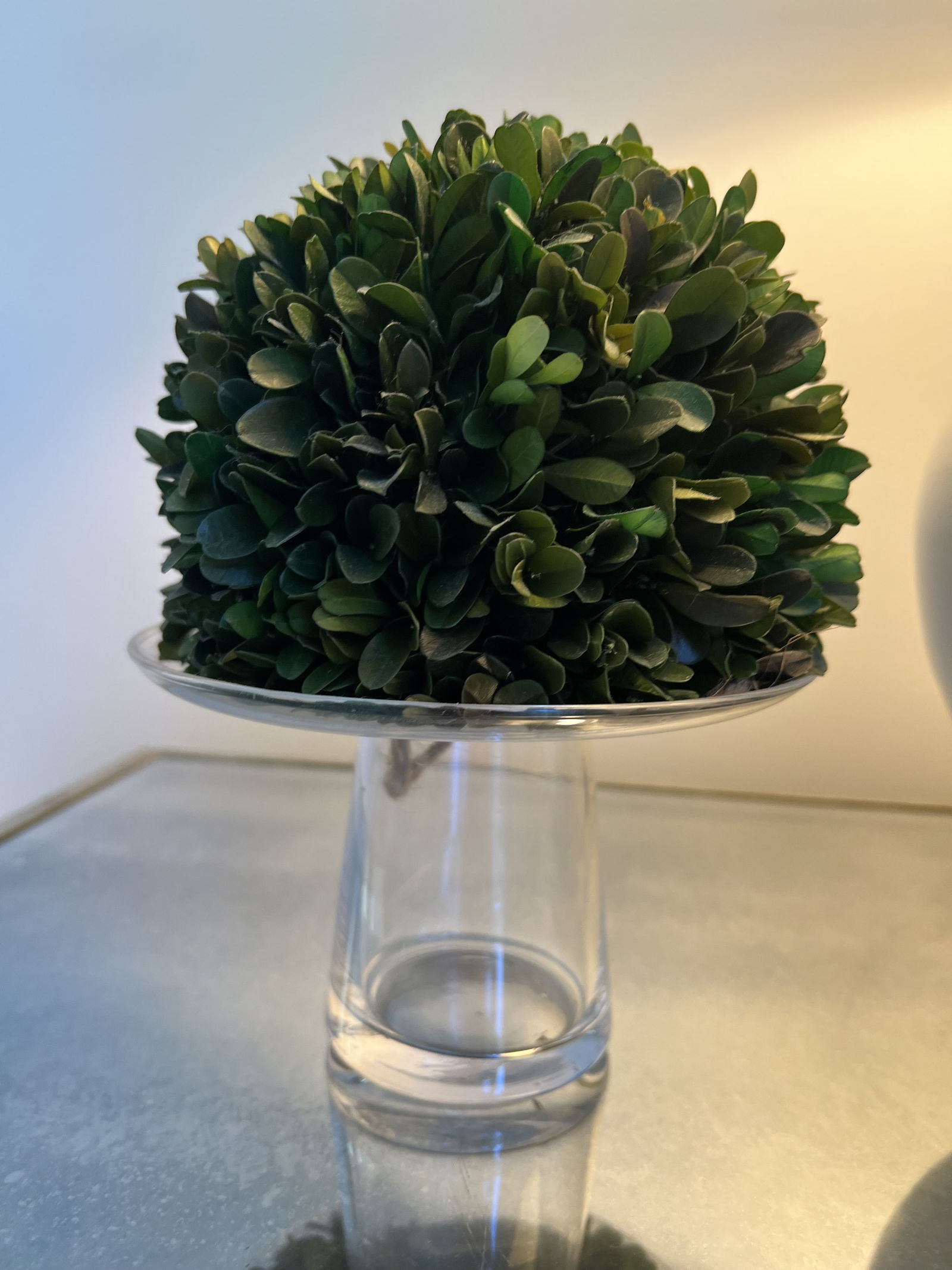 (4) Glass Candleholders with Topiary - 4