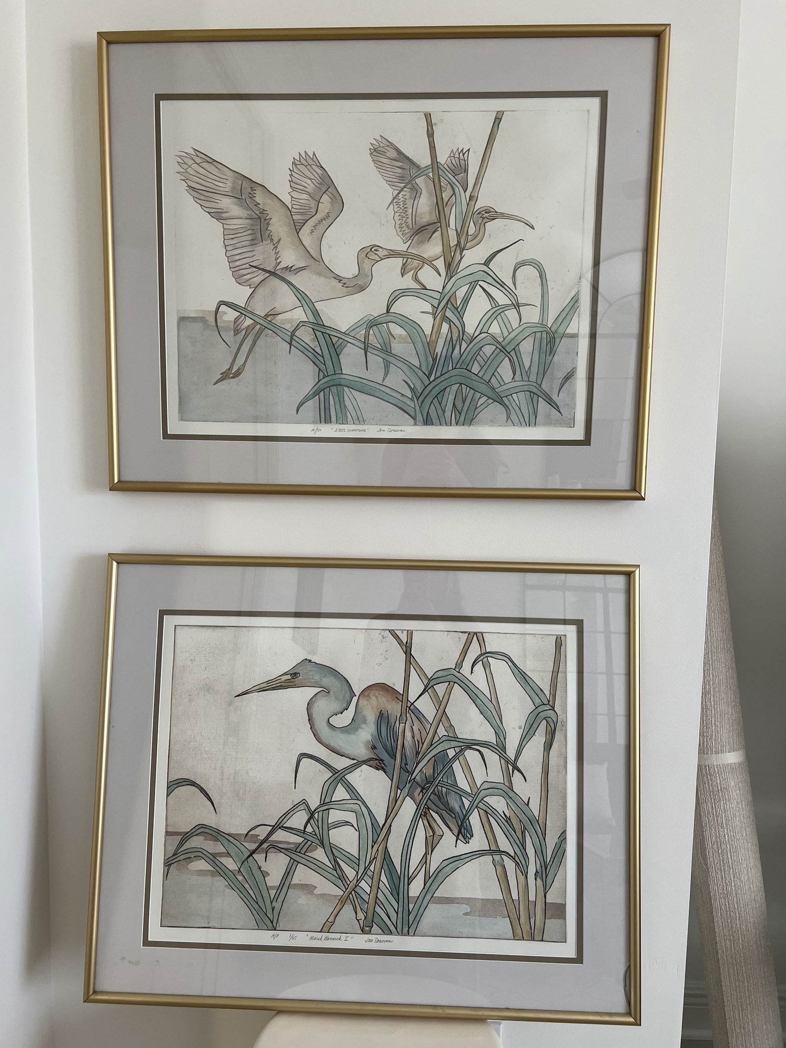 (2) John Donovan Florida Bird Prints: Handcolored prints by John Donovan of Florida march birds including crane and ibis. Titled "Marsh Monarch" and "Ibis Overture". Numbered and pencil signed by the artist. Dimensions: Frame: H 26" x W