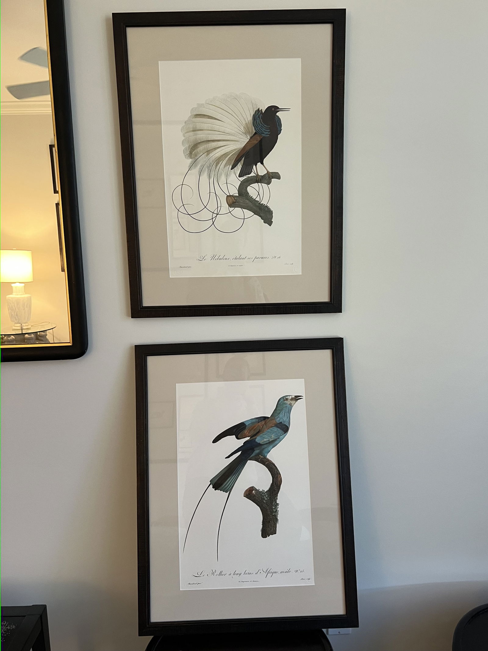 (2) Elliott' s Best Oppenheimer Editions Lithographs of Birds: (2) Fine art prints of birds by Barraband including Plate16 and Plate 25. Fine art print, archival pigments on watercolor paper. Dimensions: Frame: H 29" x W 22" Condition: Presenting well, only