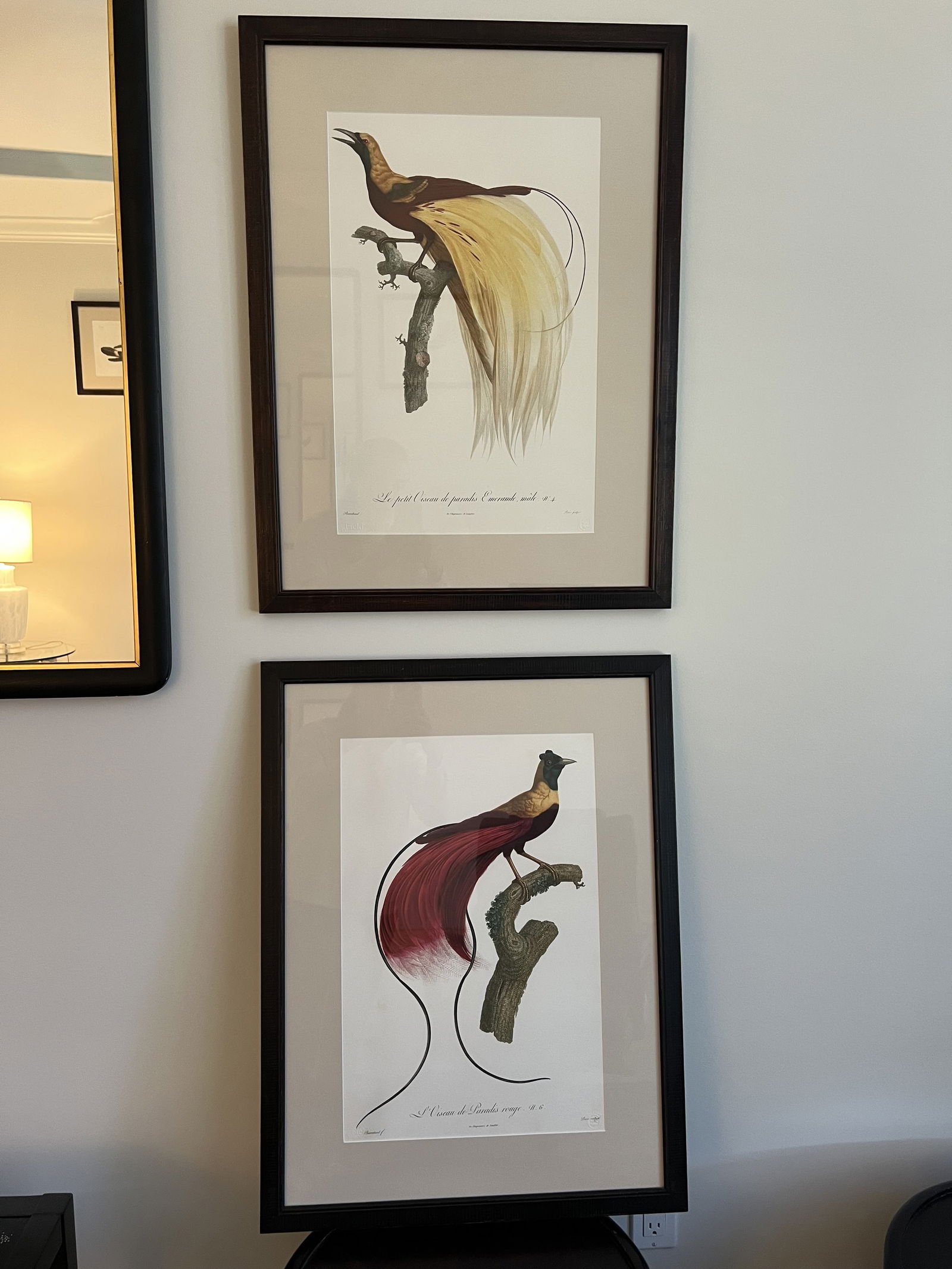 (2) Elliott' s Best Oppenheimer Editions Lithographs of Birds: (2) Fine art prints of birds by Barraband including Plate 2 and Plate 6. Fine art print, archival pigments on watercolor paper. Dimensions: Frame: H 29" x W 22" Condition: Presenting well, only
