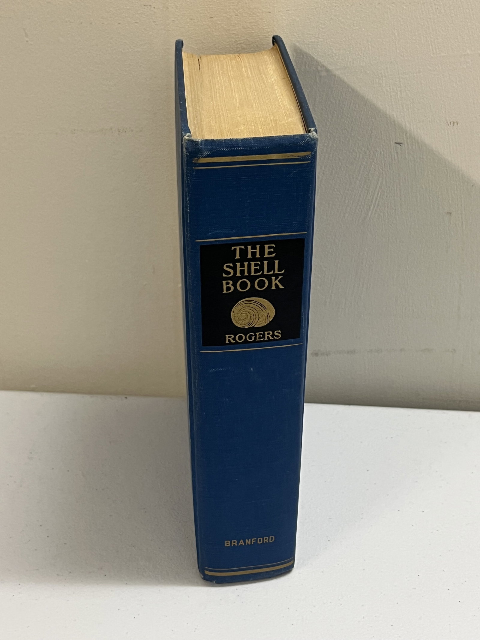 The Shell Book Julia E Rogers 1908