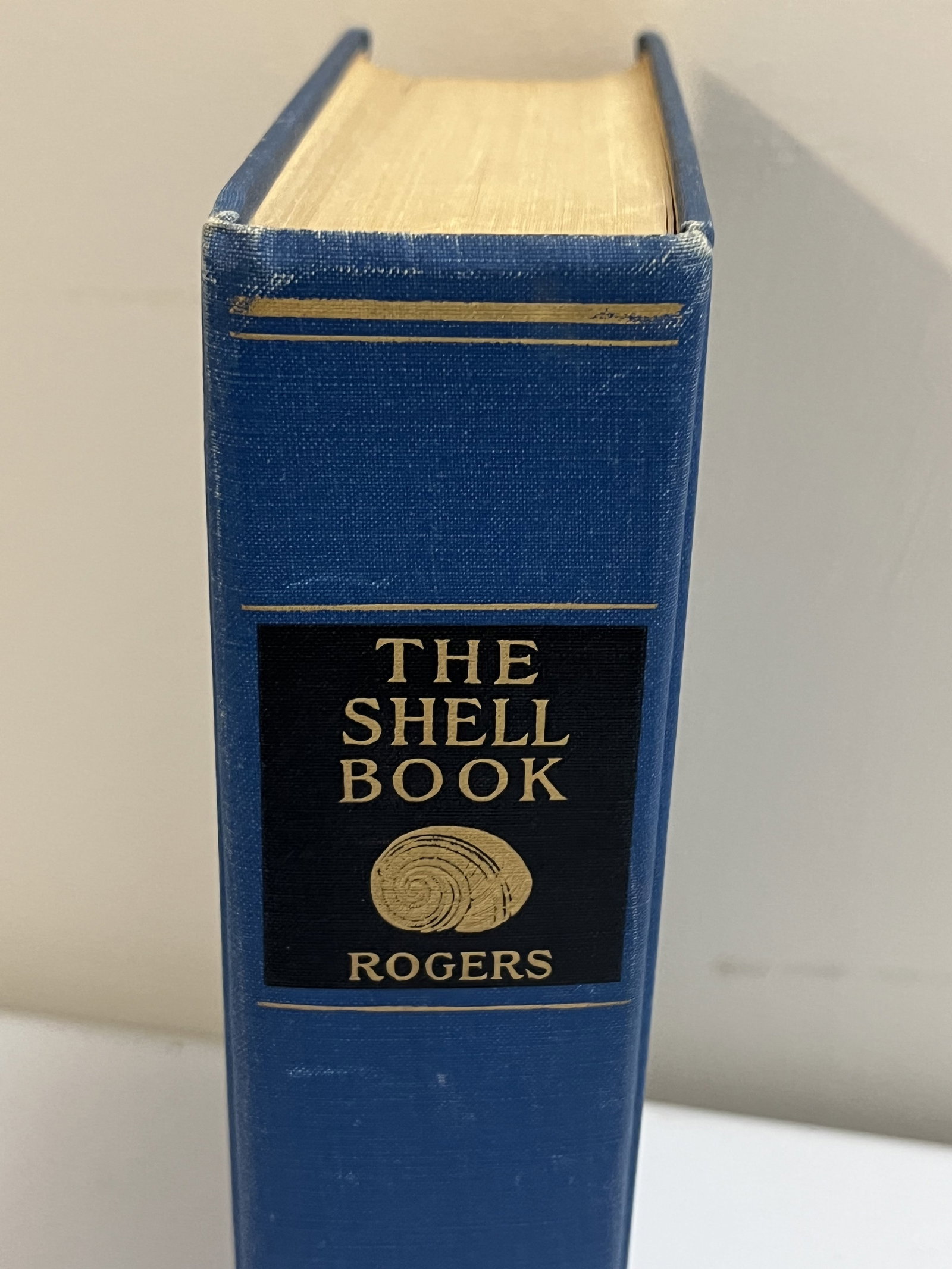 The Shell Book Julia E Rogers 1908 - 2