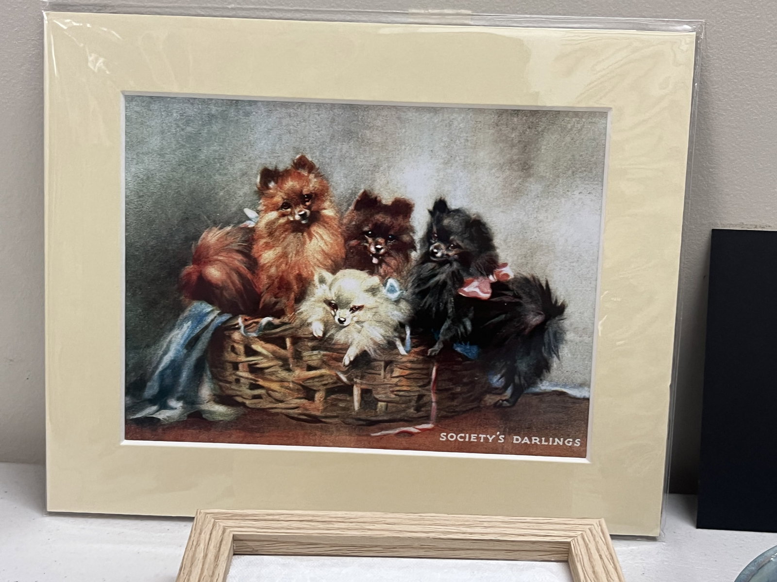 Pomeranian Art Including Prints and Ceramics - 2