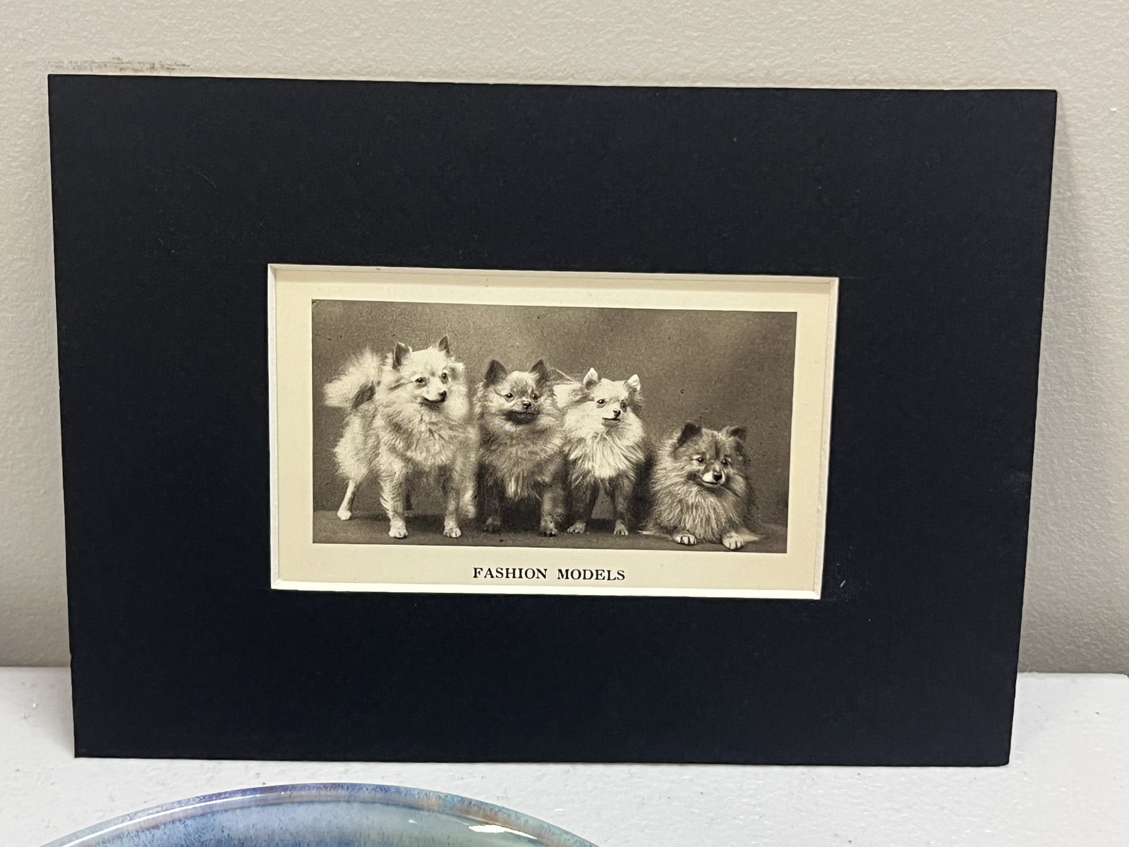 Pomeranian Art Including Prints and Ceramics - 7