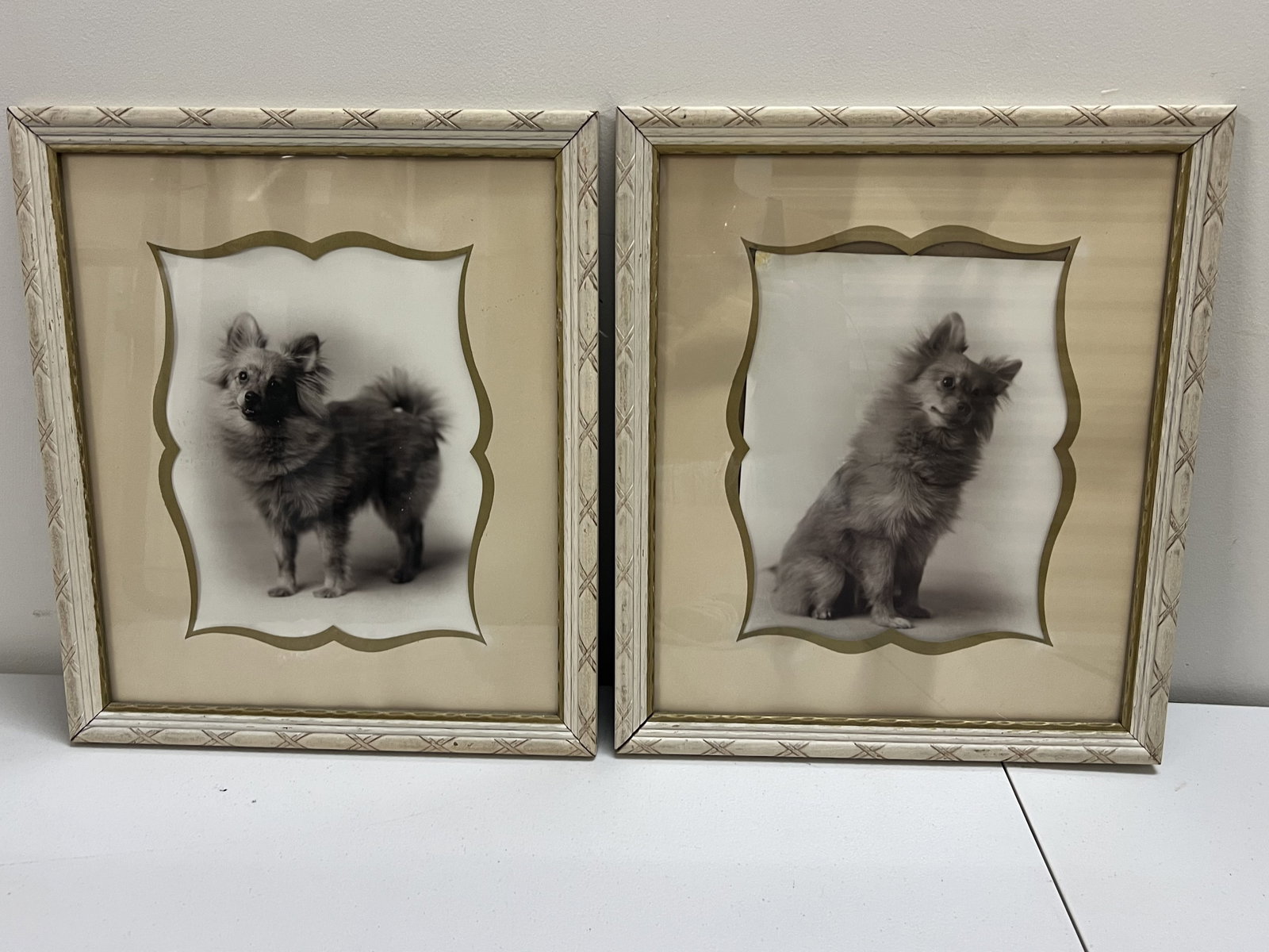 Vintage Pair of Pomeranian Black and White Photographs: Framed photos, vintage of pom pups. Dimensions: Frame: H 15.75" x 13.75" Condition: Some wrinkling and slipping in the frame. Low Estimate: 10.00 High Estimate: 10000.00