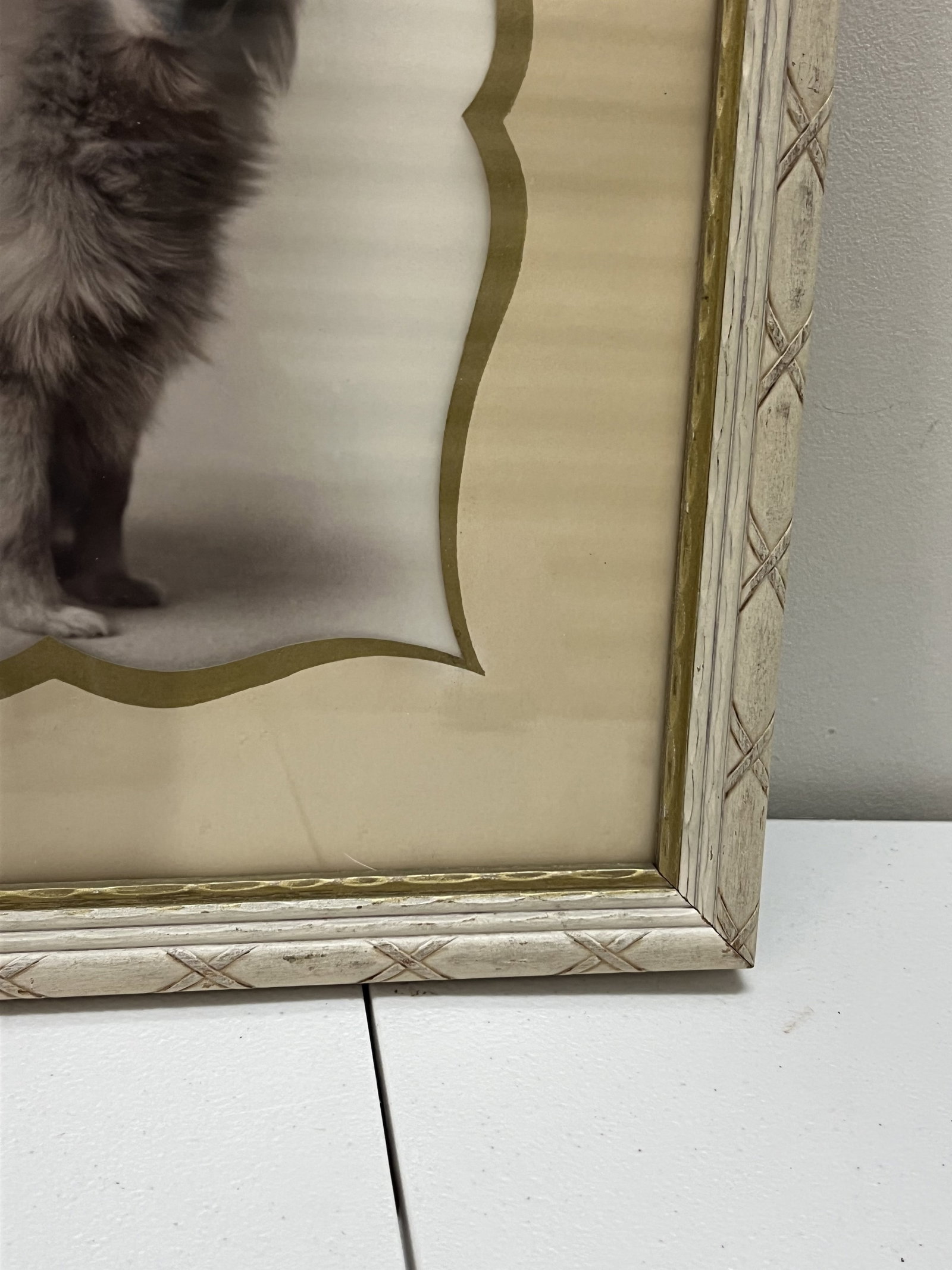 Vintage Pair of Pomeranian Black and White Photographs - 4