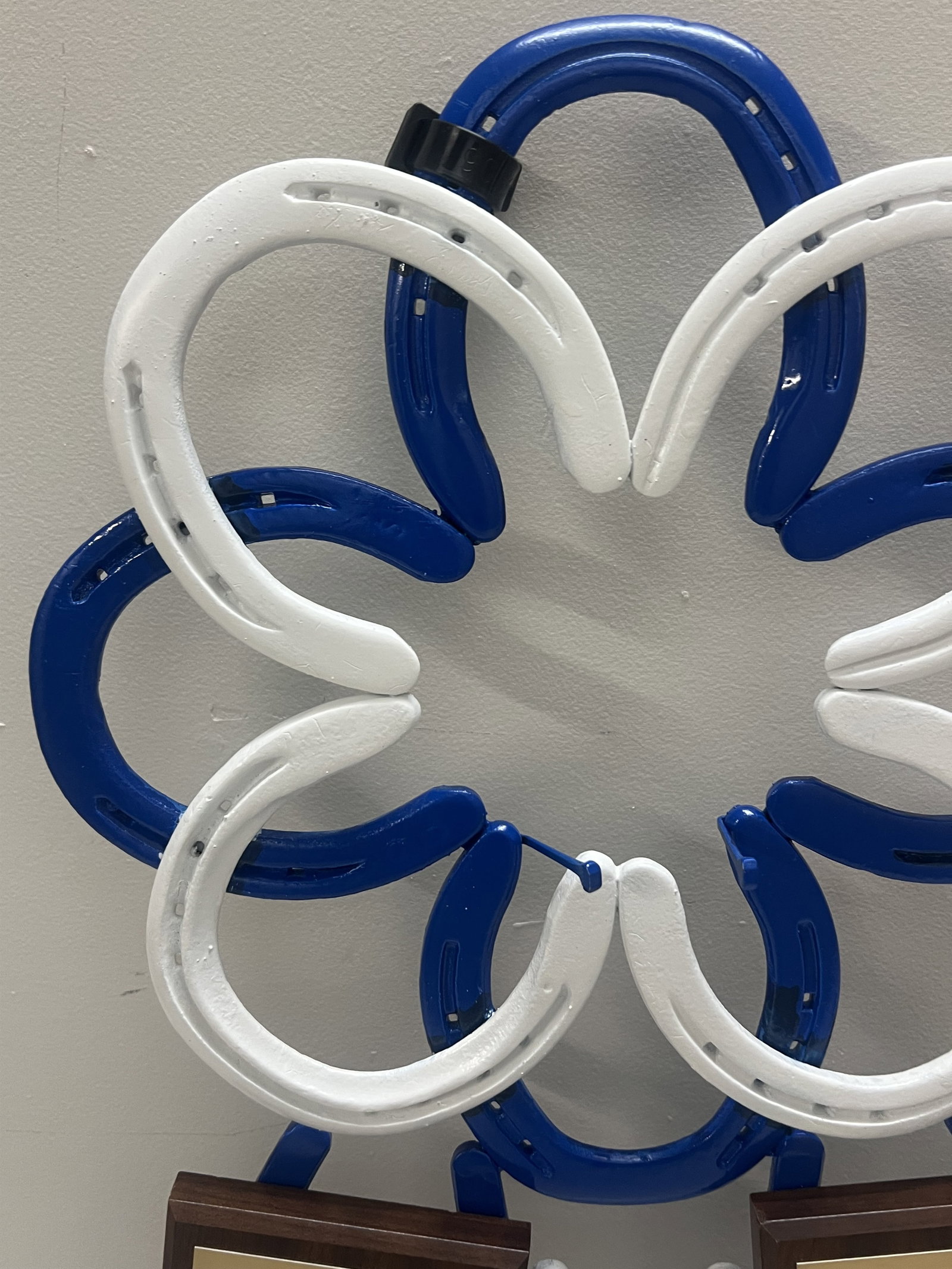 Horseshoe Display - 2