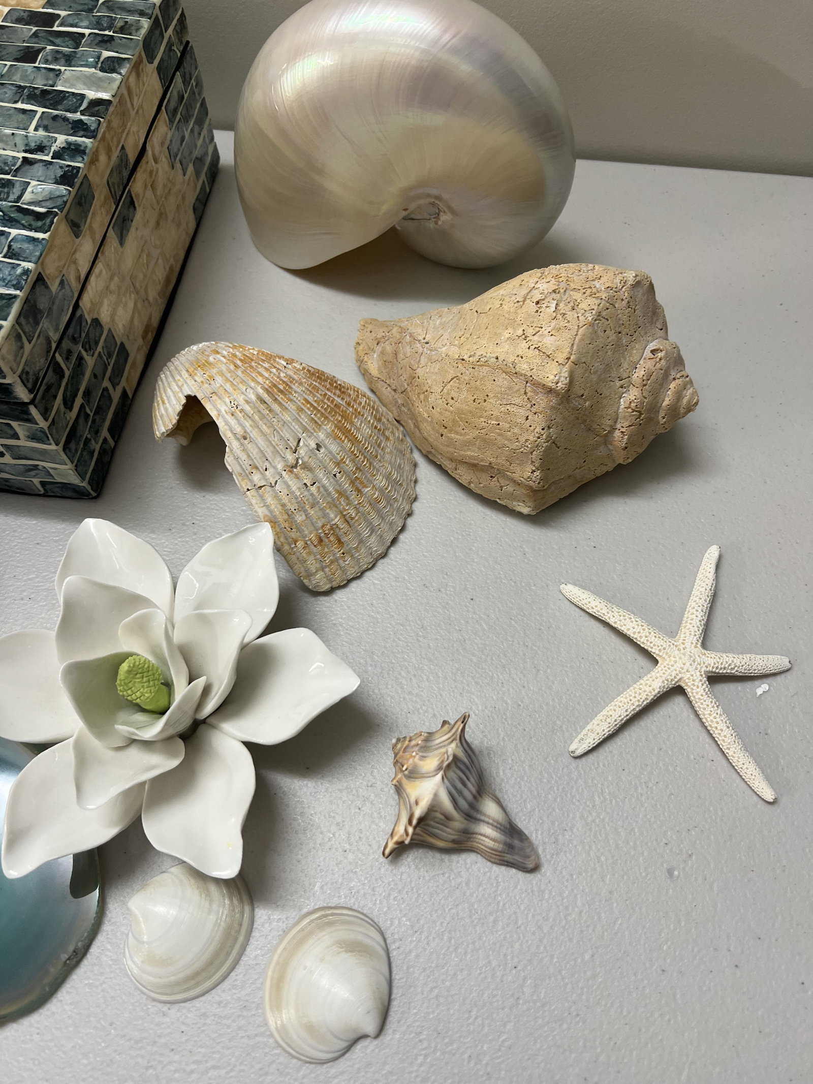 Coastal Decor Decorations Housewares - 2