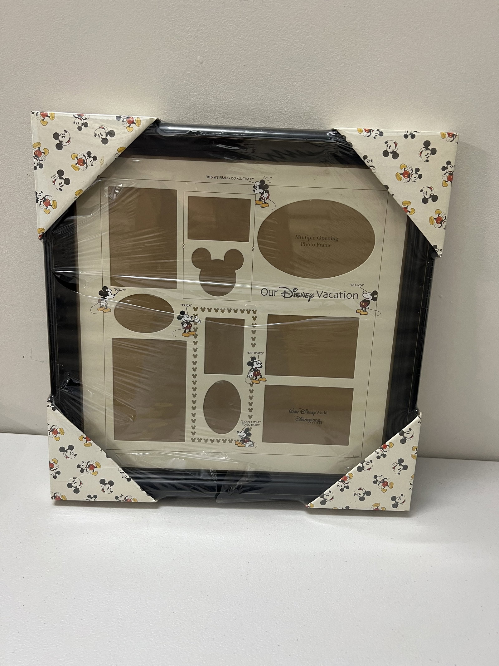 Disney Collector Vacation Frame: Dimensions: H 16.5" square Vintage. Condition: unused. Low Estimate: 10.00 High Estimate: 10000.00